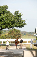 Inspections at Keeneland